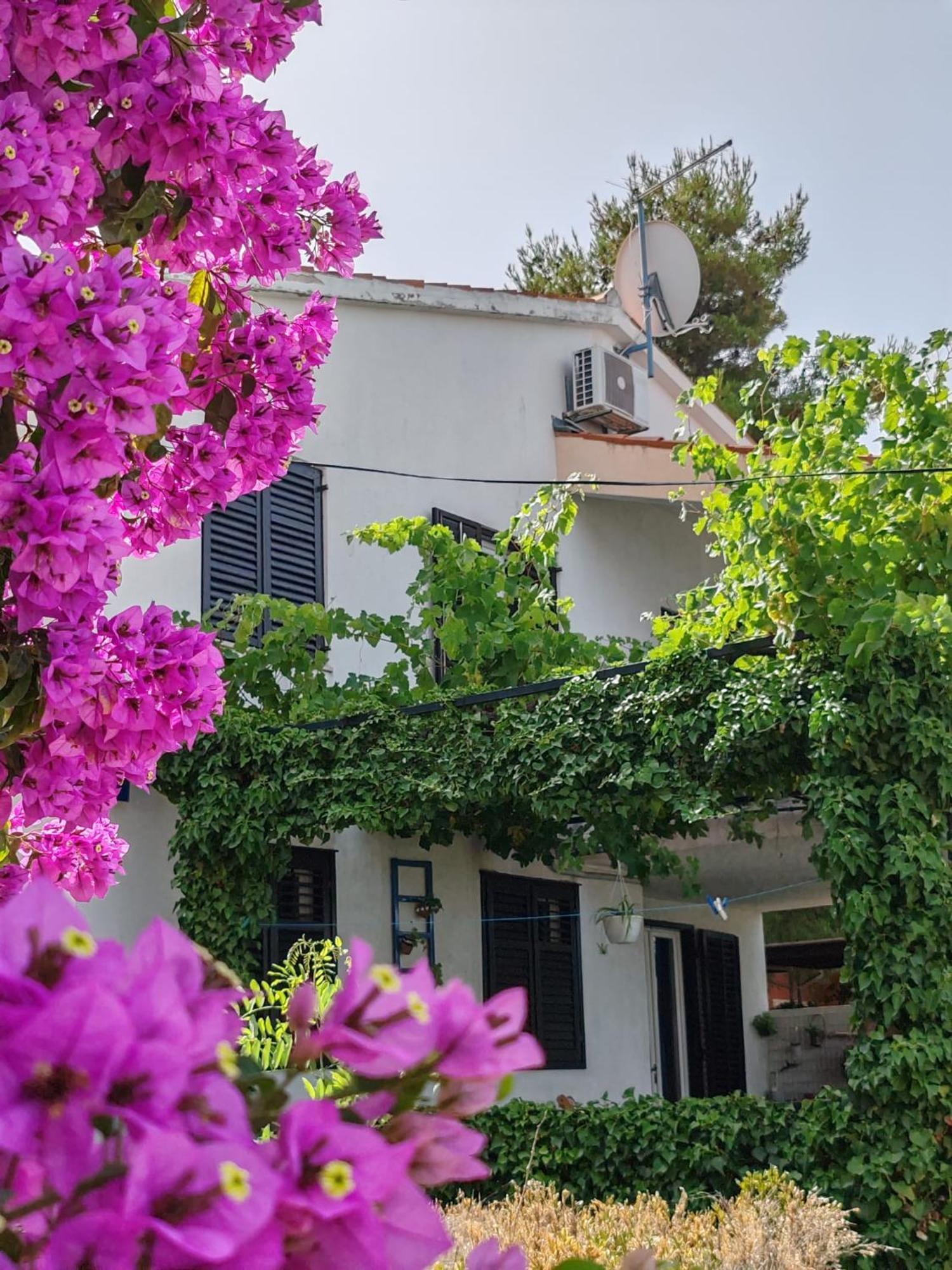Apartments Markotic Klek Εξωτερικό φωτογραφία